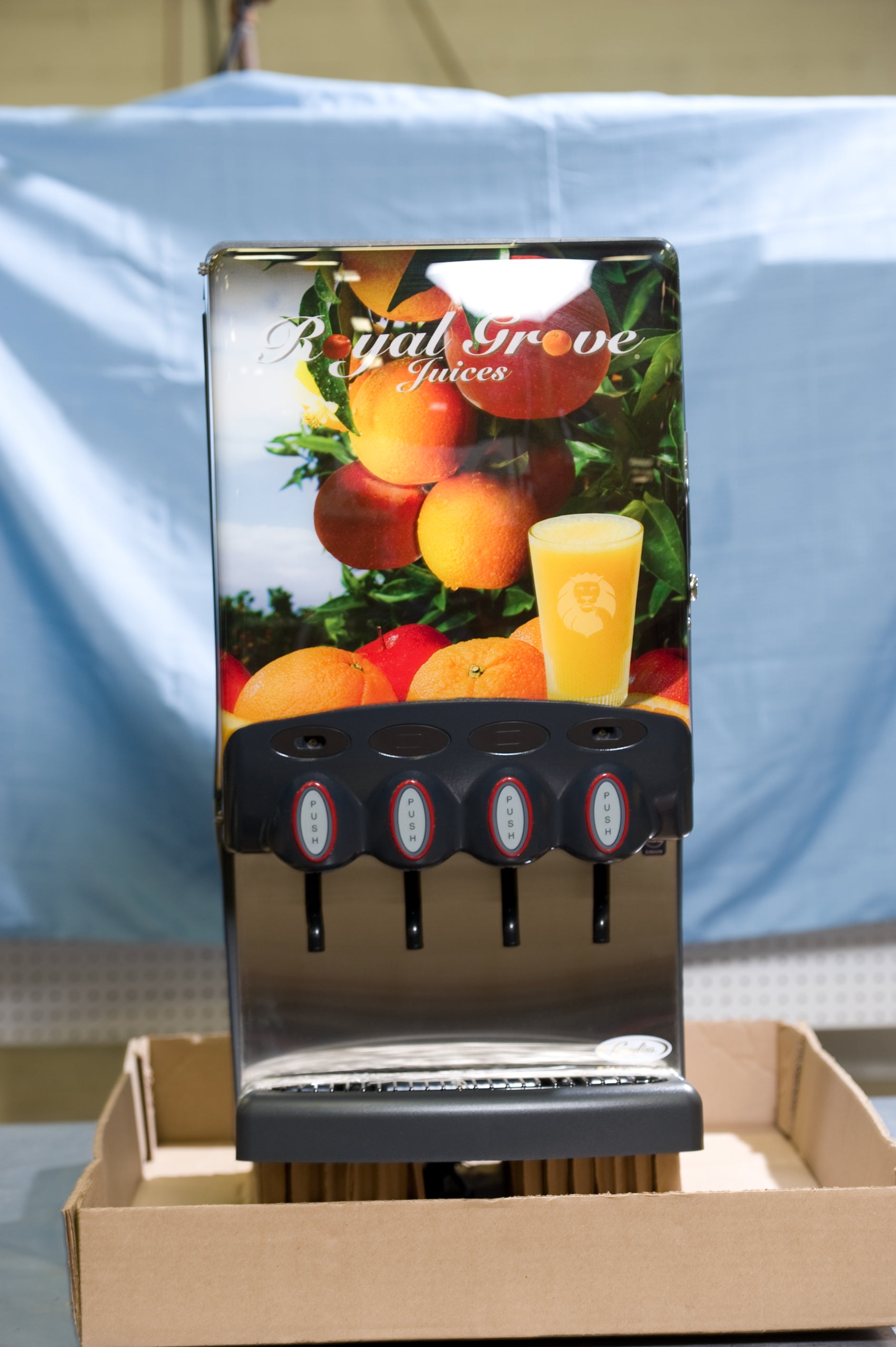 Quest Elite 4 Flavor